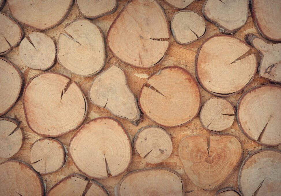 slice-of-brown-wooden-log-172279